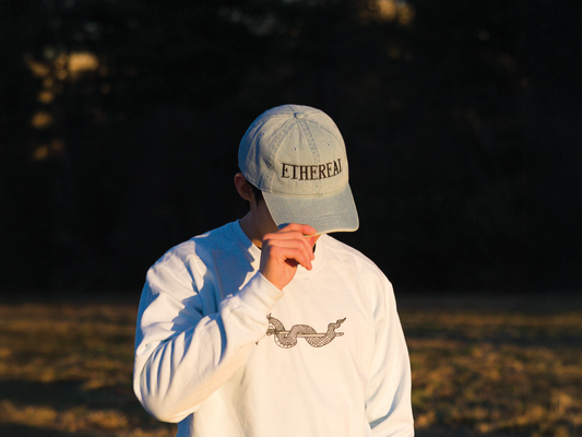 Ethereal embroidered hat
